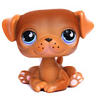 Littlest Pet Shop Large Playset Pug (#786) Pet Littlest Pet Shop Large Playset Pug (#786) Pet
