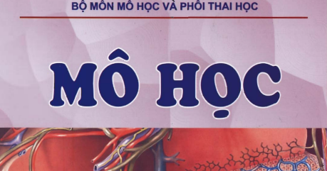 GIÁO TRÌNH MÔ PHÔI - ĐH Y HÀ NỘI ~ THƯ VIỆN Y DƯỢC VN