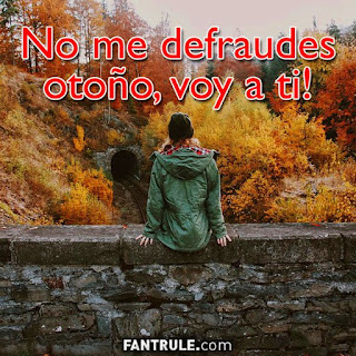 imagenes feliz otoño hola bienvenido frases gif