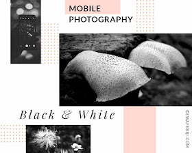 mobile photography ideas black and white 