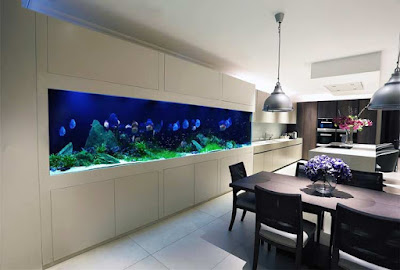 How to make wall aquarium and wall fish tank DIY, wall mounted aquarium wall aquarium Diy, wall fish tank, wall mounted aquarium