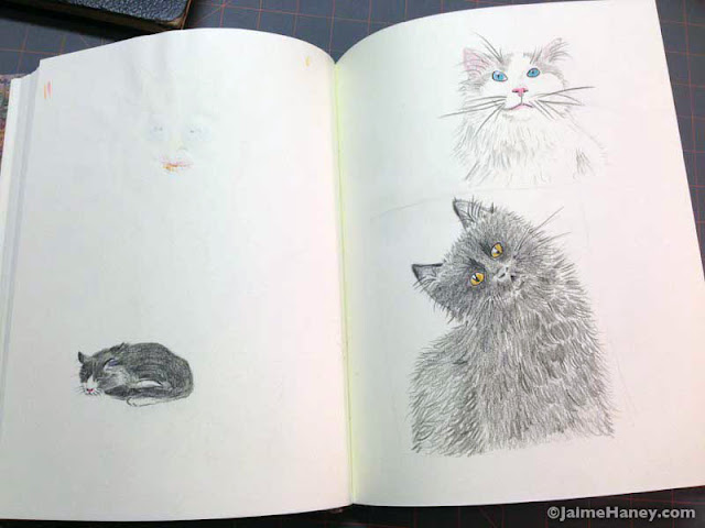 sketchbook, sketches, cat sketches, Jaime Haney, Sketchbook Conversations