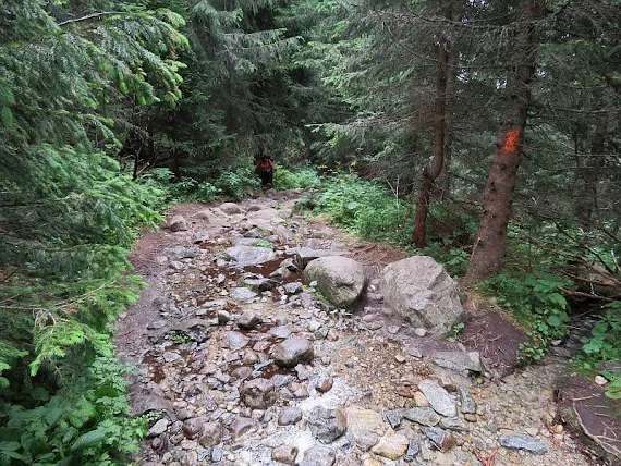 Po kamieniach kamienie