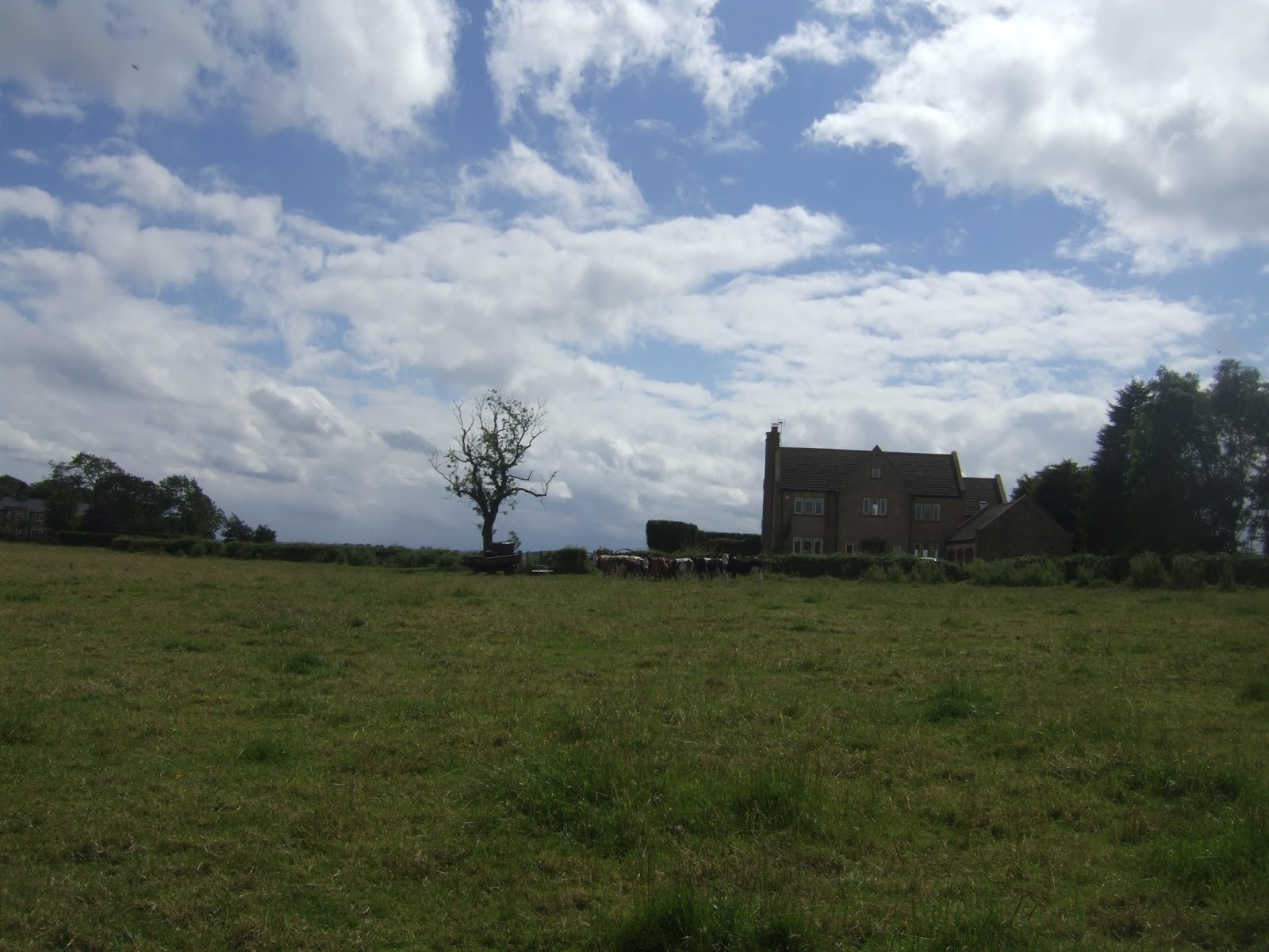 Alone Beneath The Sky Harrogate Ringway 2 Knareborough to Pannal 24