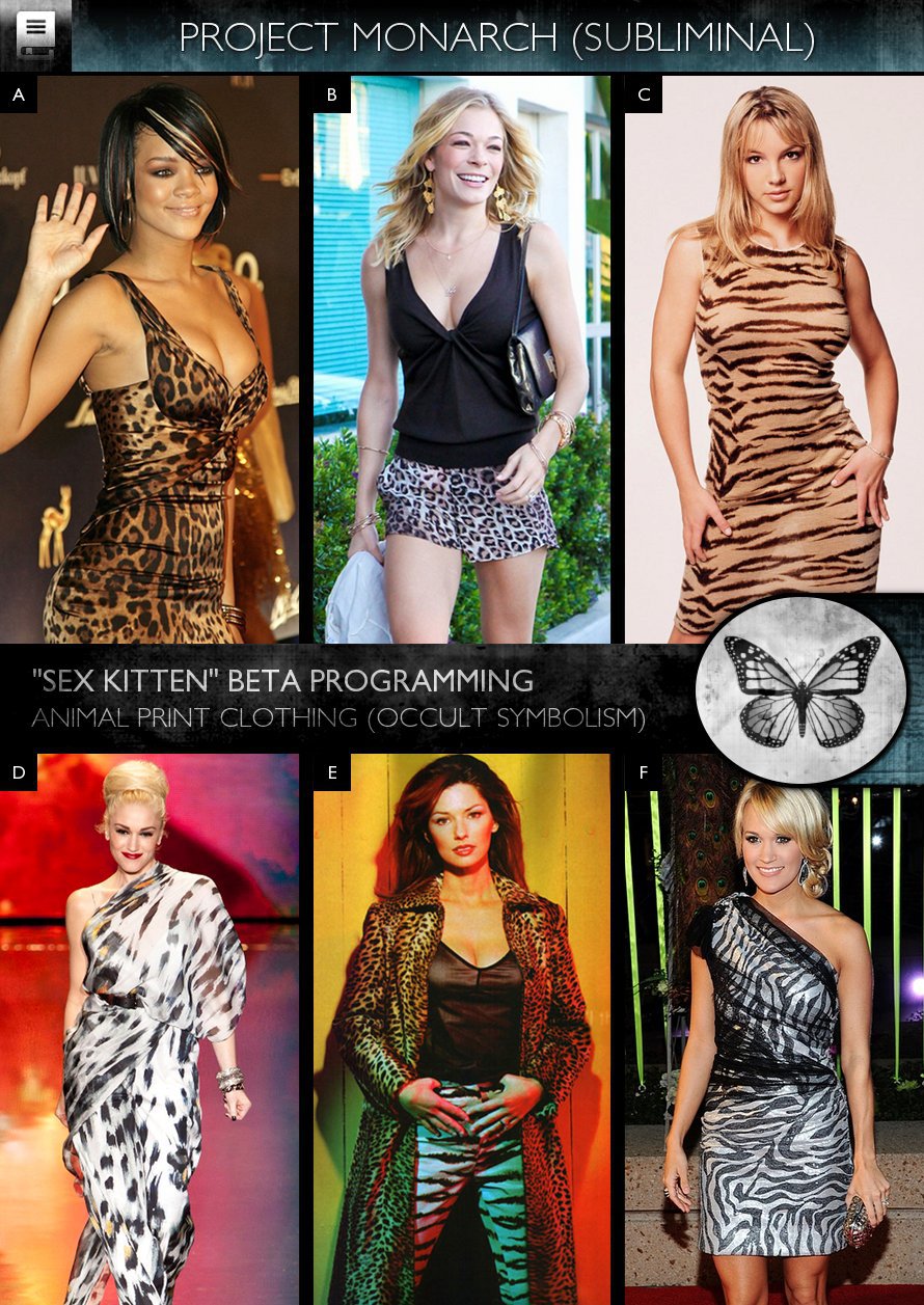 Kitten beta programming. Монарх программирование. Проект monarch. Beta programming. Beta programming.