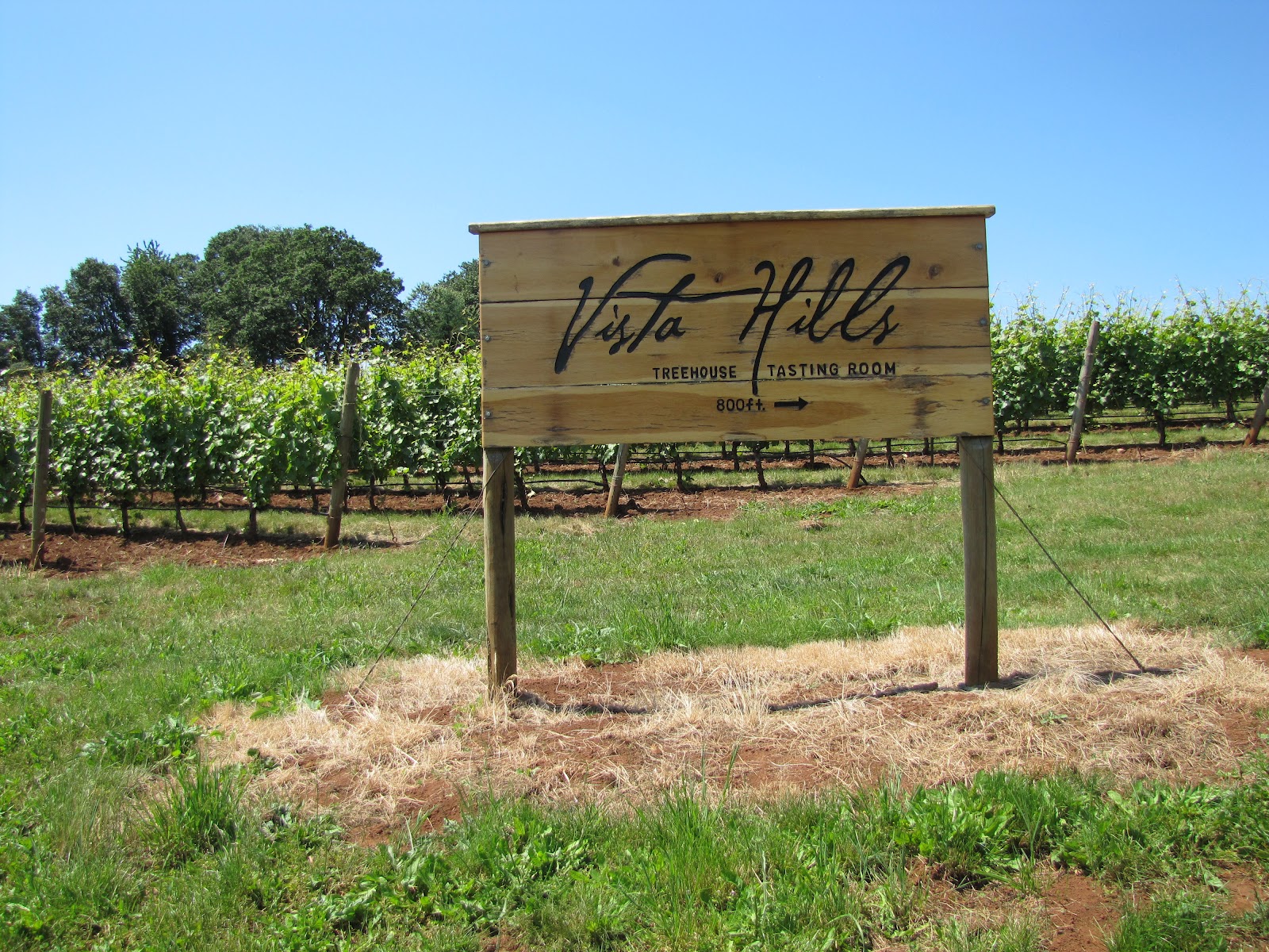 The Oregon Winery Review Vista Hills Vineyard A Tree House Winery in