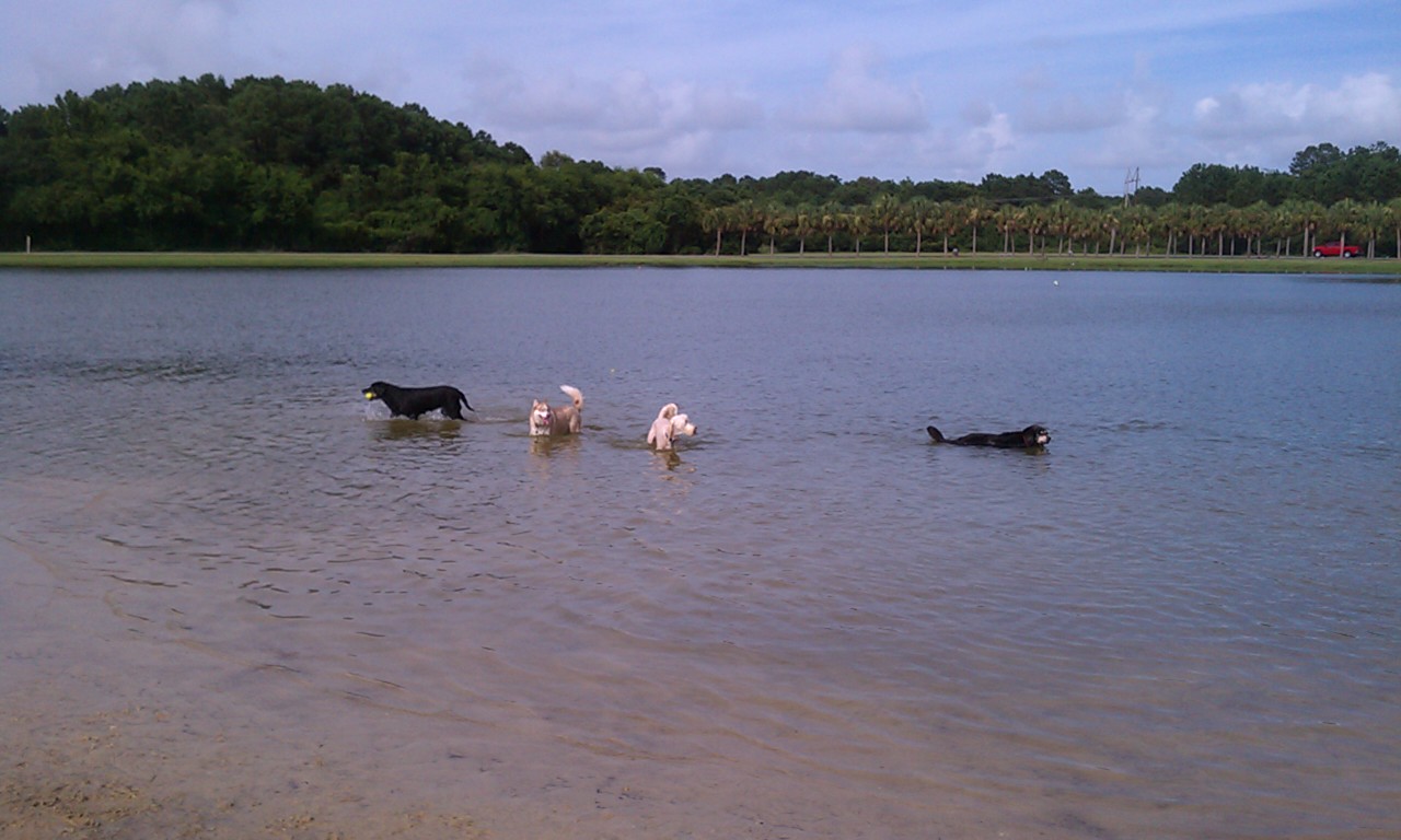 One More Time Around James Island Charleston SC