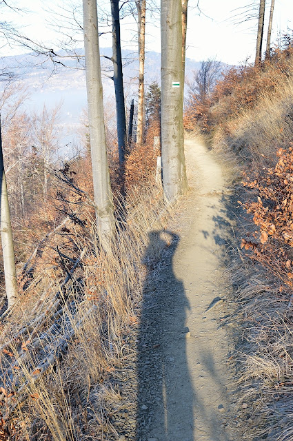 Looking for winter on Skrzyczne – beginning of the New Year up in the mountains DSC 0647