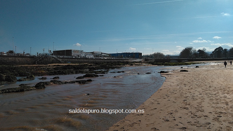 playa-gijón-pedrero