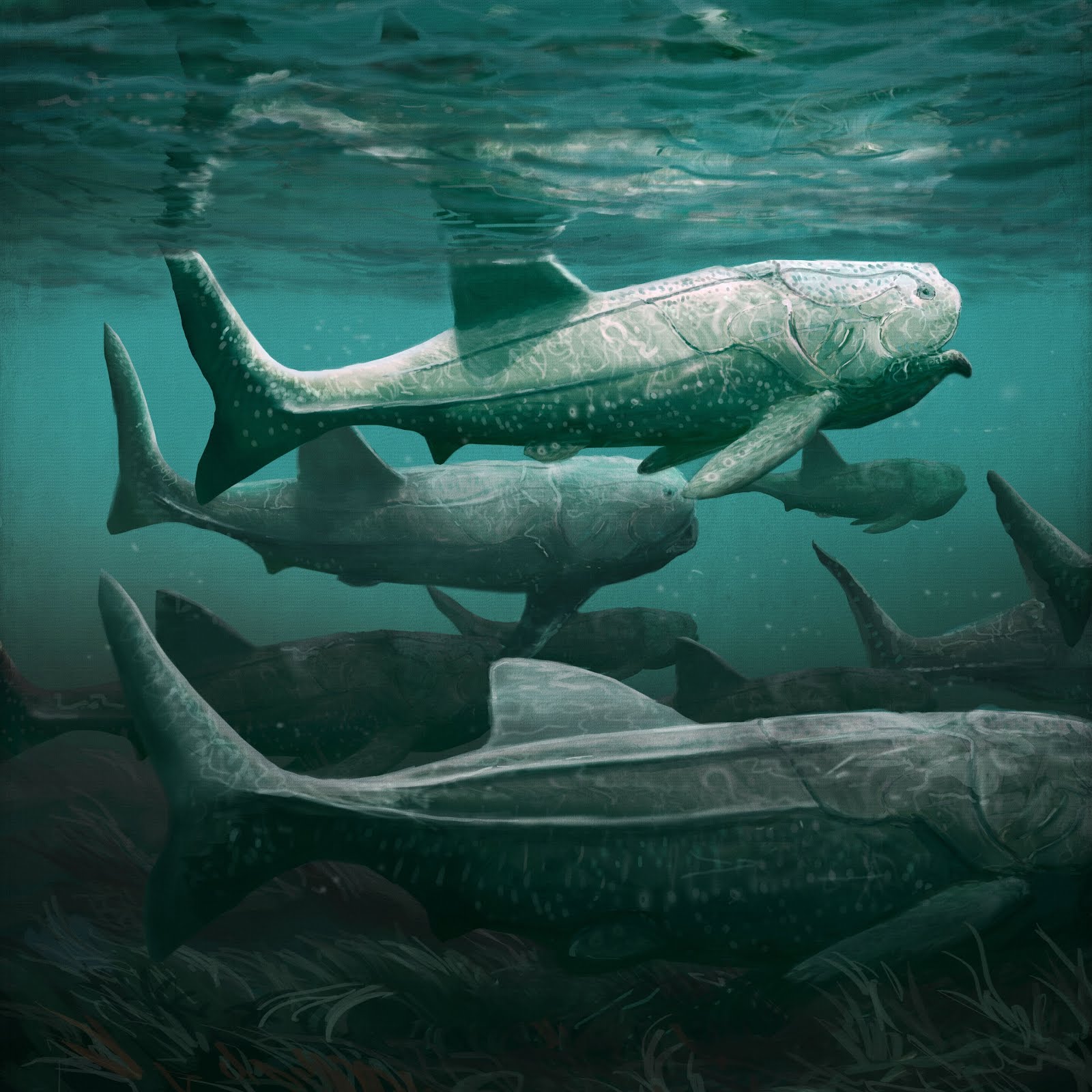 Species New to Science [PaleoIchthyology • 2020] Was the Devonian