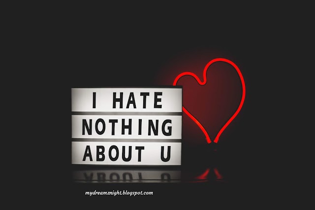  I hate nothing about you 