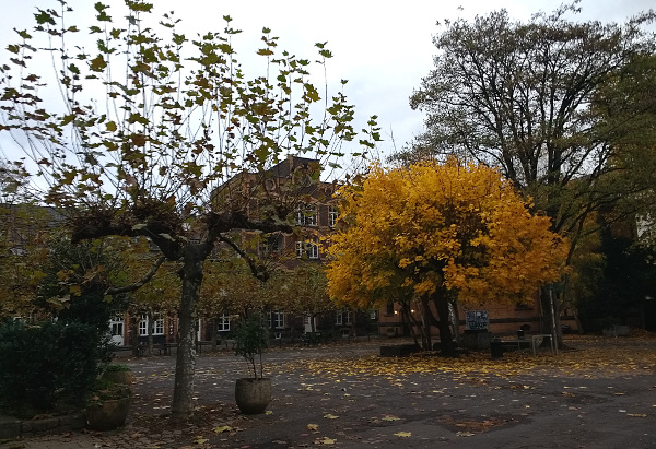 Things Auch Im Supermarkt Auf Der Uberholspur