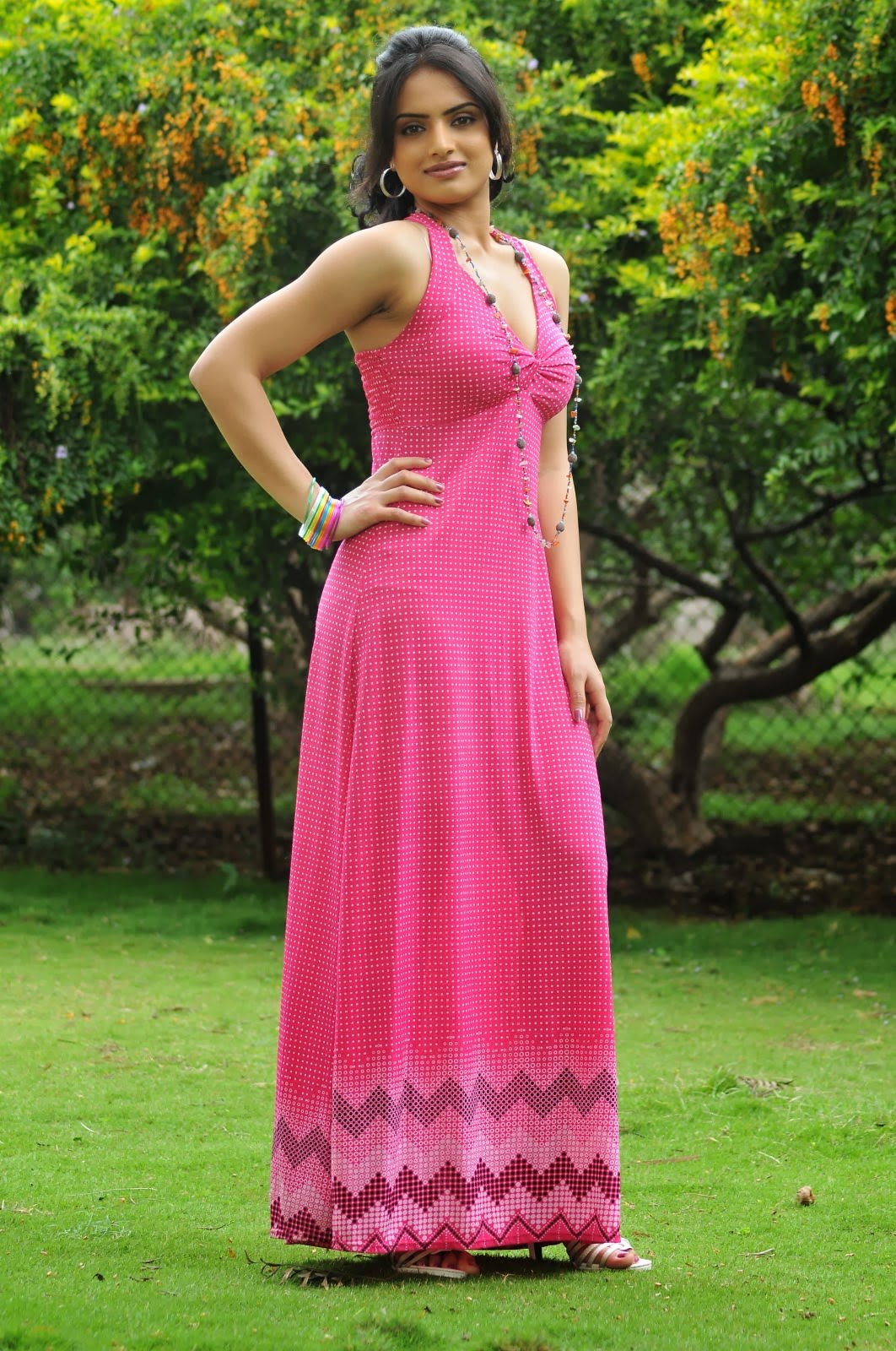 Ritu Kaur Latest Hot Photo Gallery In Pink Long Dress Hq Pics N Galleries 