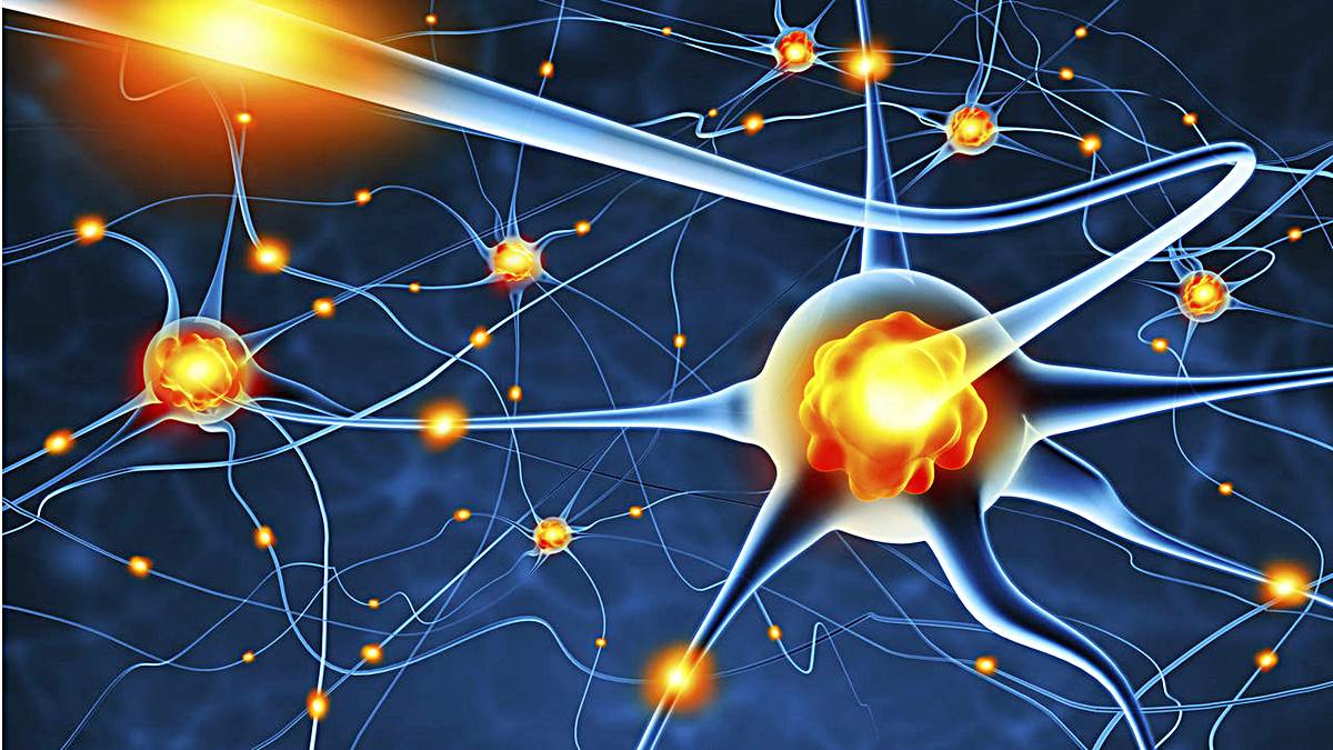 EL ORIGEN DE LA CONSCIENCIA UNA NEURONA EL ORIGEN DE LA CONSCIENCIA UNA NEURONA