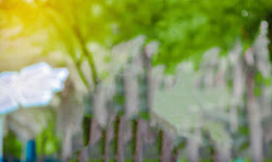 background blur photoshop manipulation editing nature effects change natural tutorial ultimate unknown posted