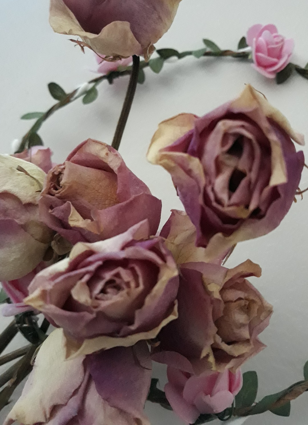 Story Time Hormonal Changes During Egg Donation Oh Glow