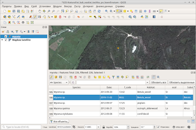 QGIS Lat Lon Tools new feature in attribute table новый только-что созанный объект в таблице атрибутов