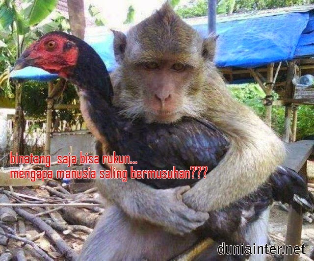 Foto lucu dan unik Foto lucu dan unik