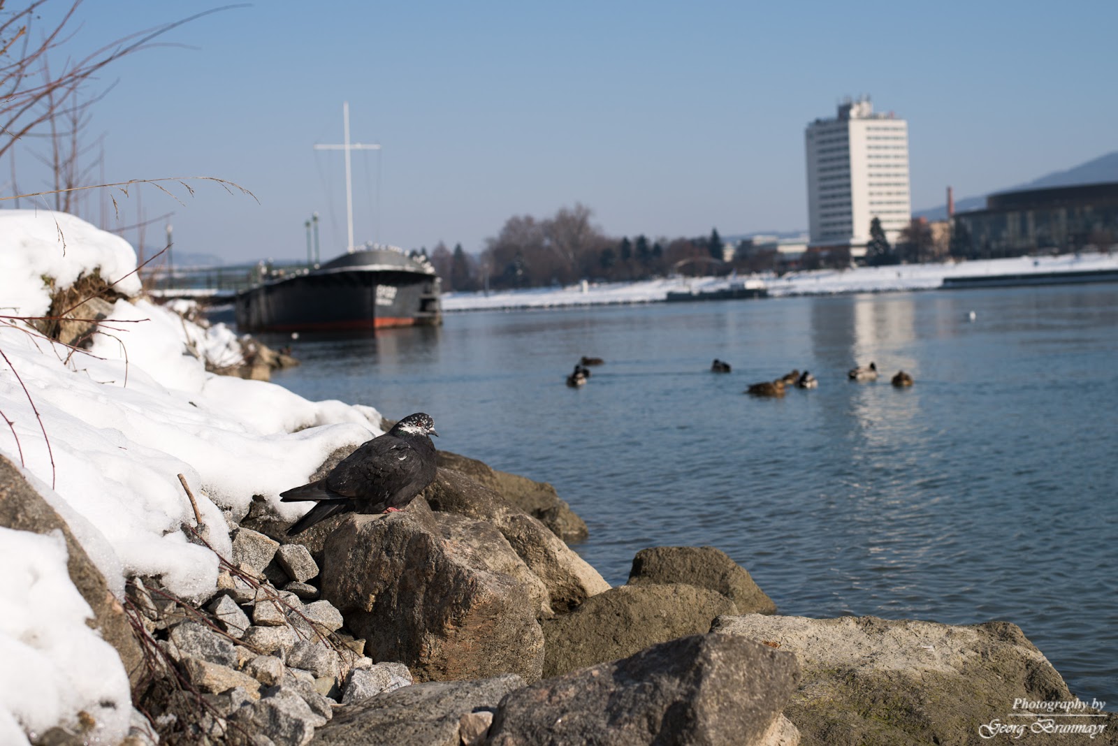 Durch meine Linse: Winter in Linz