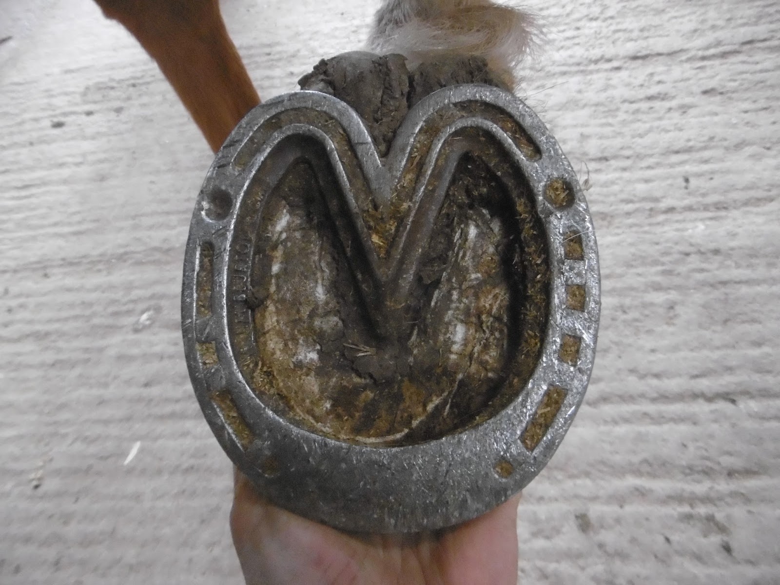 Rockley Farm Heart bar shoes