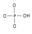 The HO4P-2 atoms connected with single bond - step 1 of the method