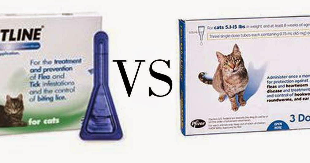 Apa Bedannya Revolution Dan Frontline Radiokucing Com