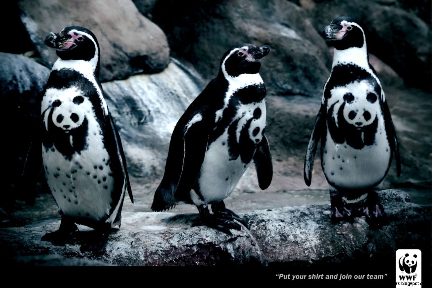 WWF Penguin  Ads of the World™