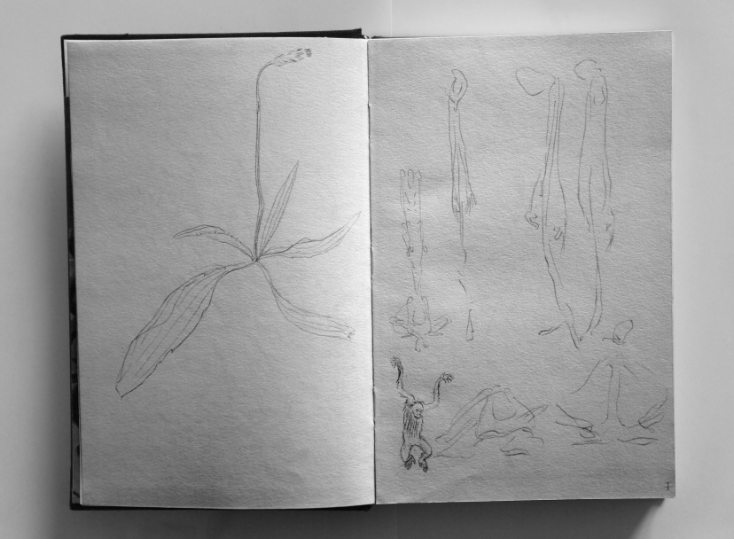 Pages 6 7 8 9 10 Et 11 D Un De Mes Carnets A5 Dessin Au Crayon A