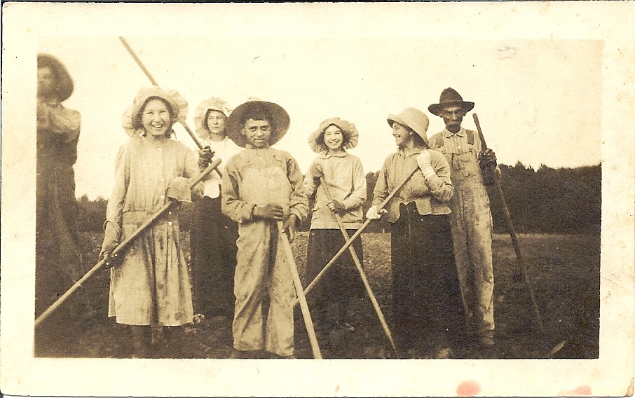 Chicken Fat The Herring Family Working the Soiol