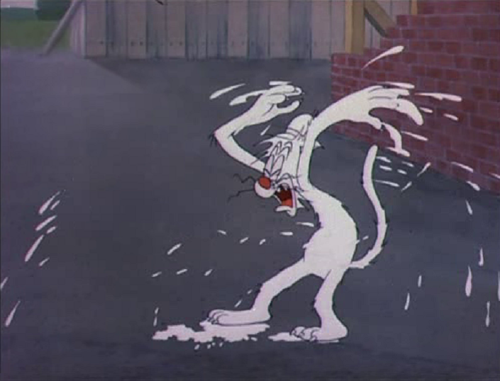 Tralfaz Bad Luck Blackie Whitewash