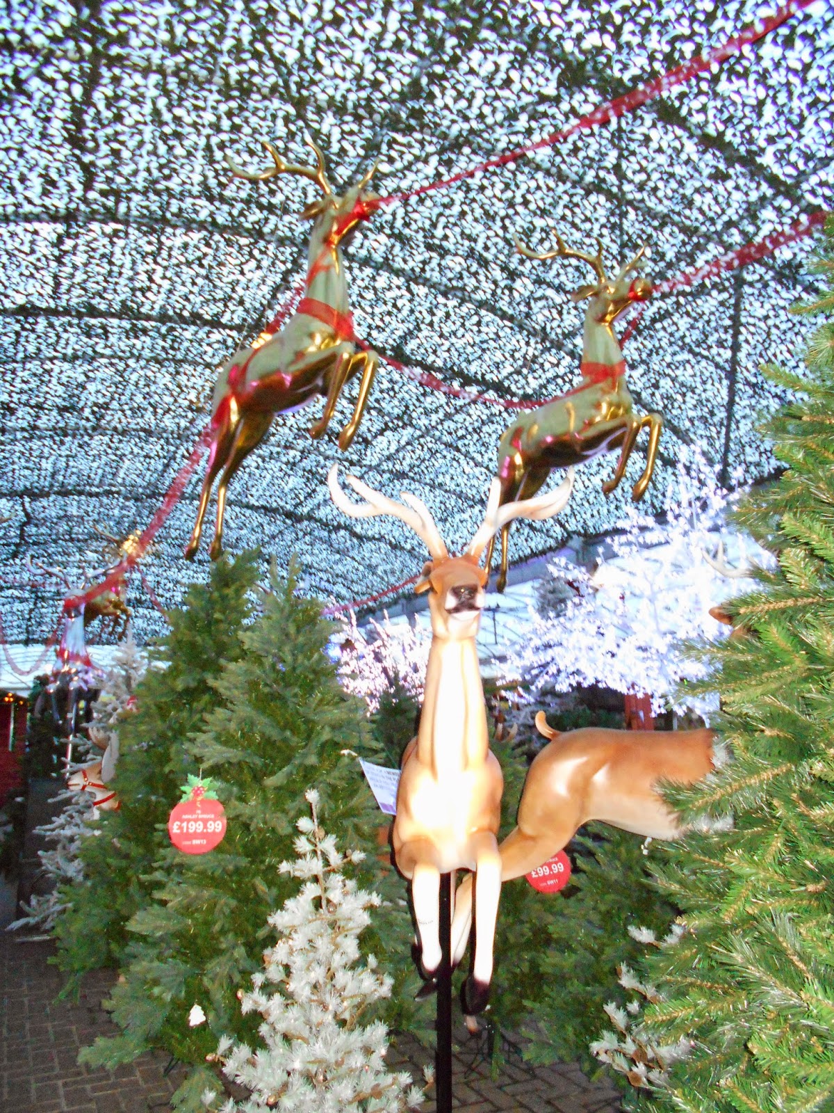 Trundling through life: November 2014