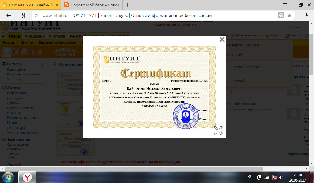 База интуит