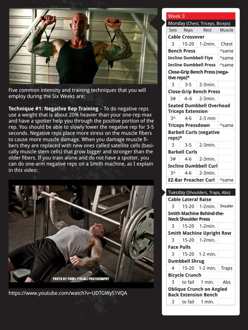 Muscle 101: jim stoppani 6 week arms pdf download