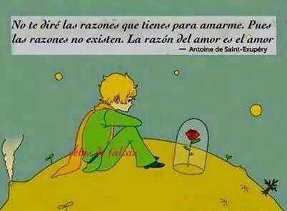 Citas Ilustradas Del Principito Del Escritor Y Aviador Frances Increible Frases De Amor Del Libro El Principito Mejor Casa Sobre