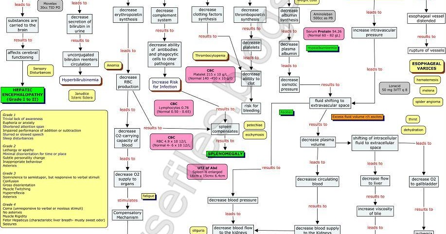 Liver Cirrhosis Cirrhosis Nursing Concept Map | SN ako: Secondary Hypertens...