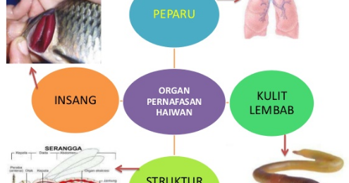 GKB 1053  Kemahiran Belajar