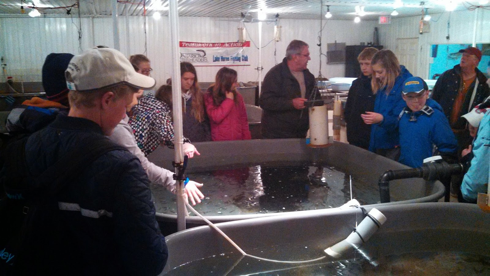 Lake Huron Fishing Club School Salmon Hatcheries and Events Teeswater