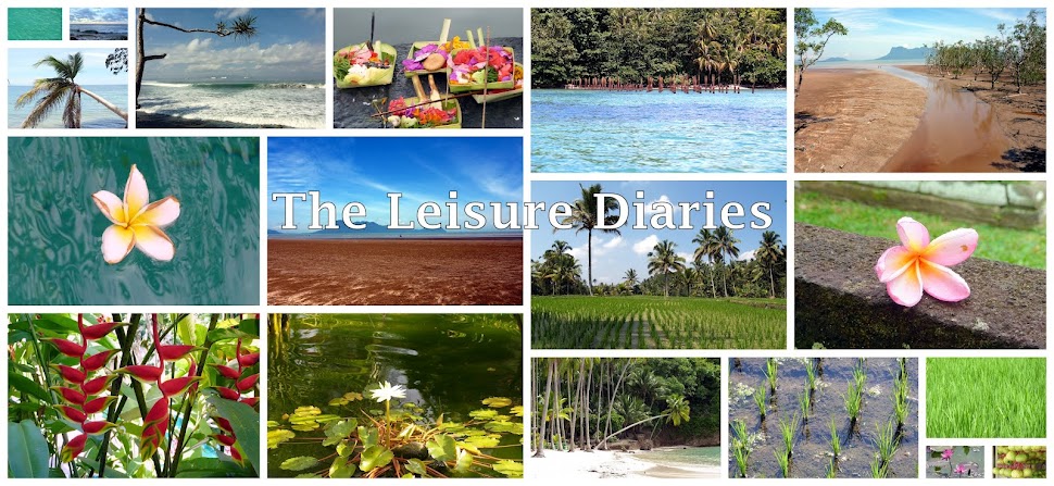 The Leisure Diaries