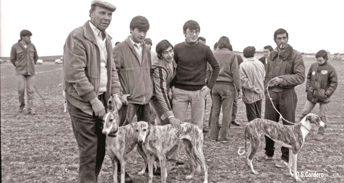 CACHOS DE VIDA CAZA CON GALGOS CACHOS DE VIDA CAZA CON GALGOS