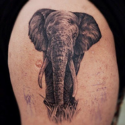 elephant Tattoo Designs