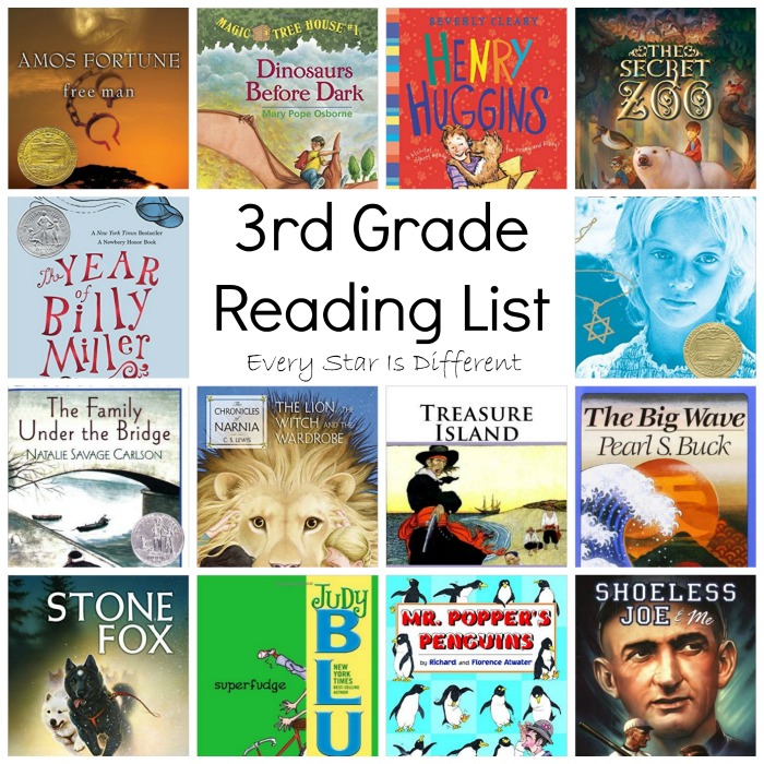 3rd Grade Reading List - Every Star Is Different