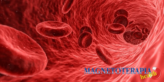 Flujo sanguíneo afectado por el biomagnetismo