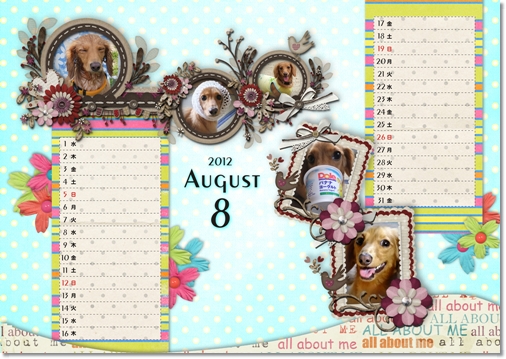 DSB　Calendar　8月