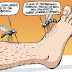 A volta do Super Mosquito (e a Febre Amarela)