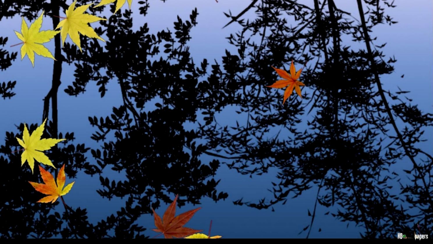 Download Free Live Wallpapers For Android Phones   Wallpaper Zone