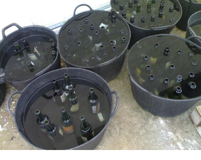 Vinos Pottering Around the Vineyard and Bodega