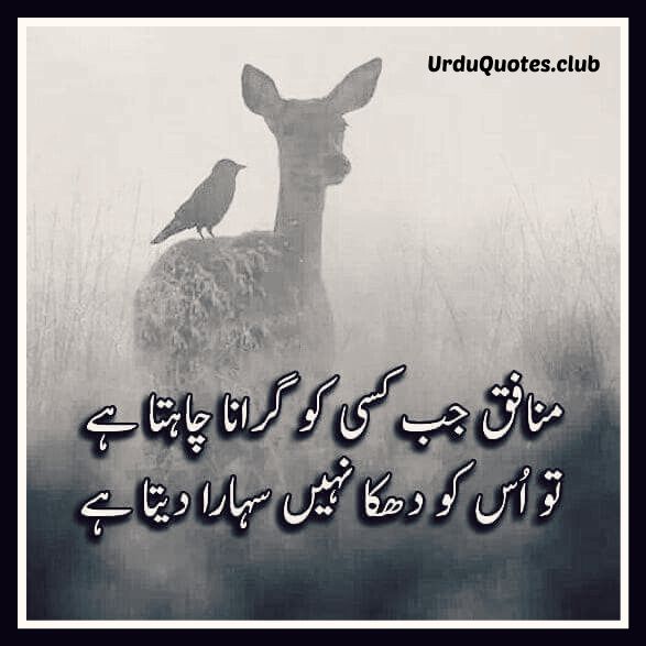 Urdu Quotes Club
