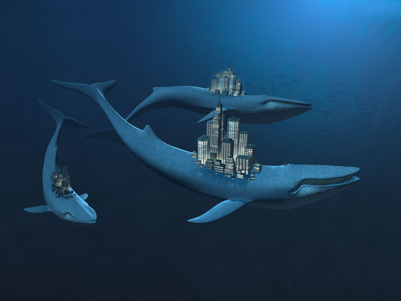 обои на рабочий стол кит. кит горбач. три кита. три кита. кит футаж.