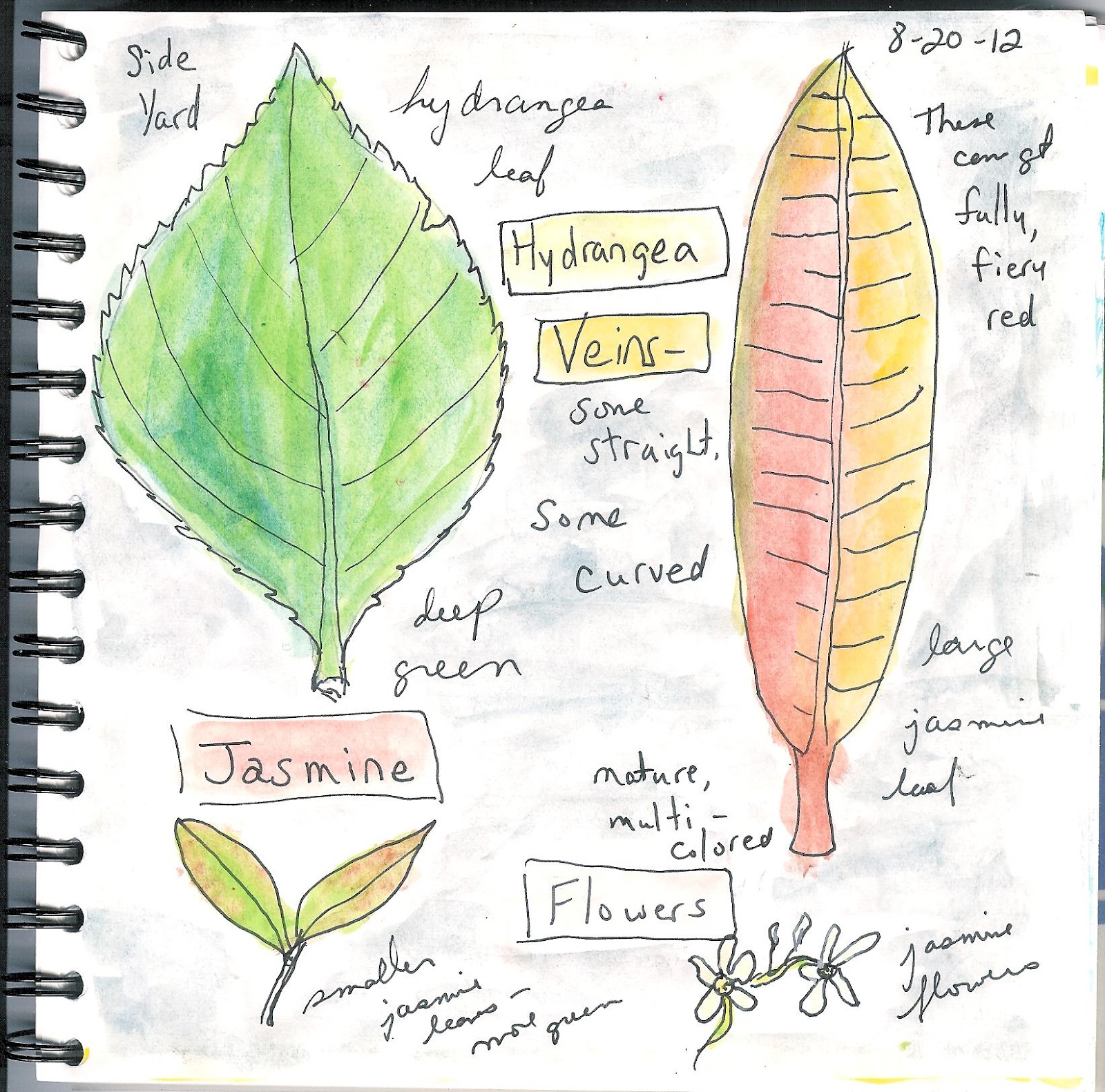 Gallo Organico PPF Backyard Field Journal