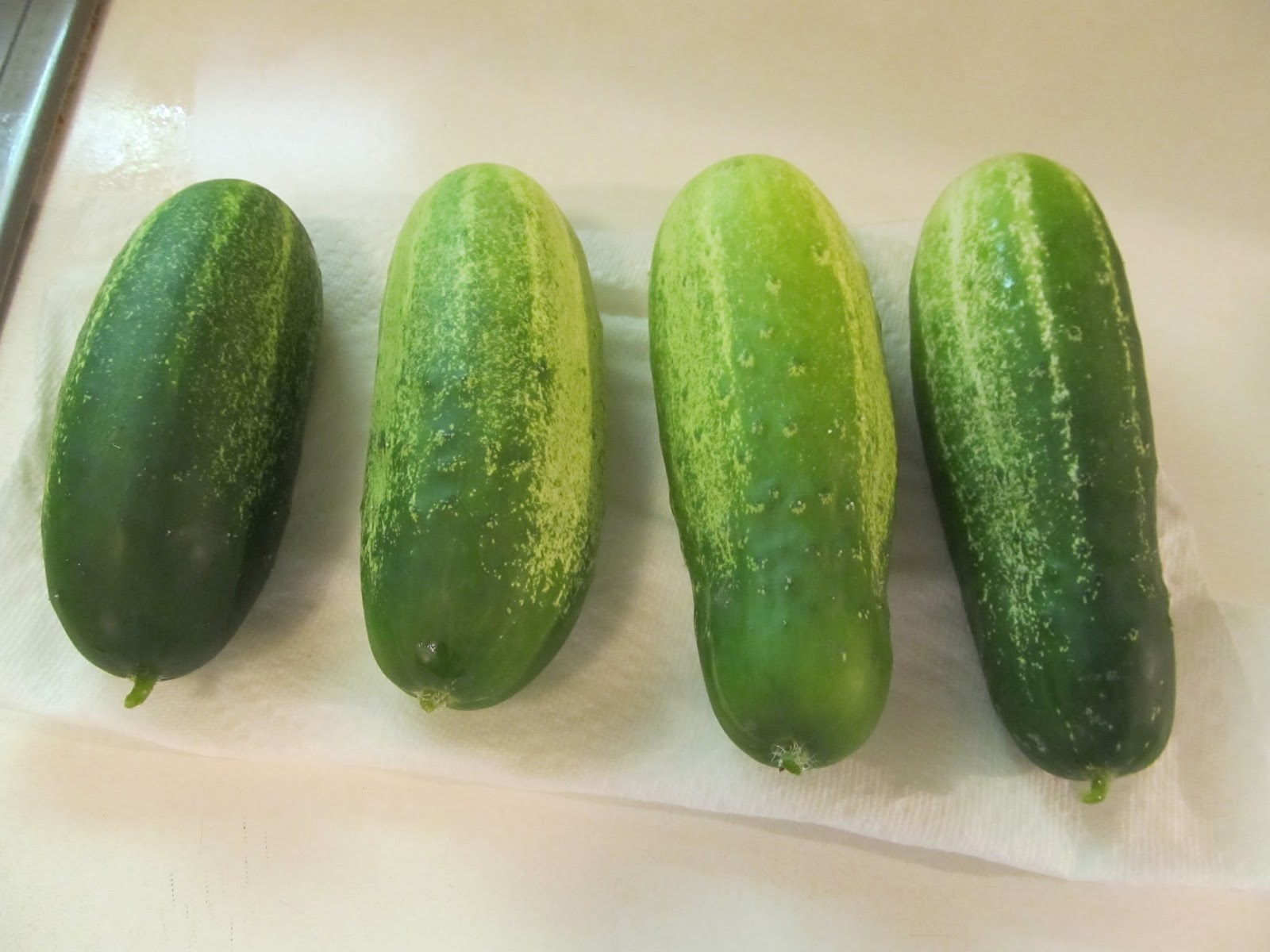 Girl With An English Heart Cocozelle Zucchini and Cucumbers